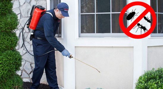 Şuhut Dezenfeksiyon böcek ilaçlama ve haşere kontrolü — ilaclama-tr.com